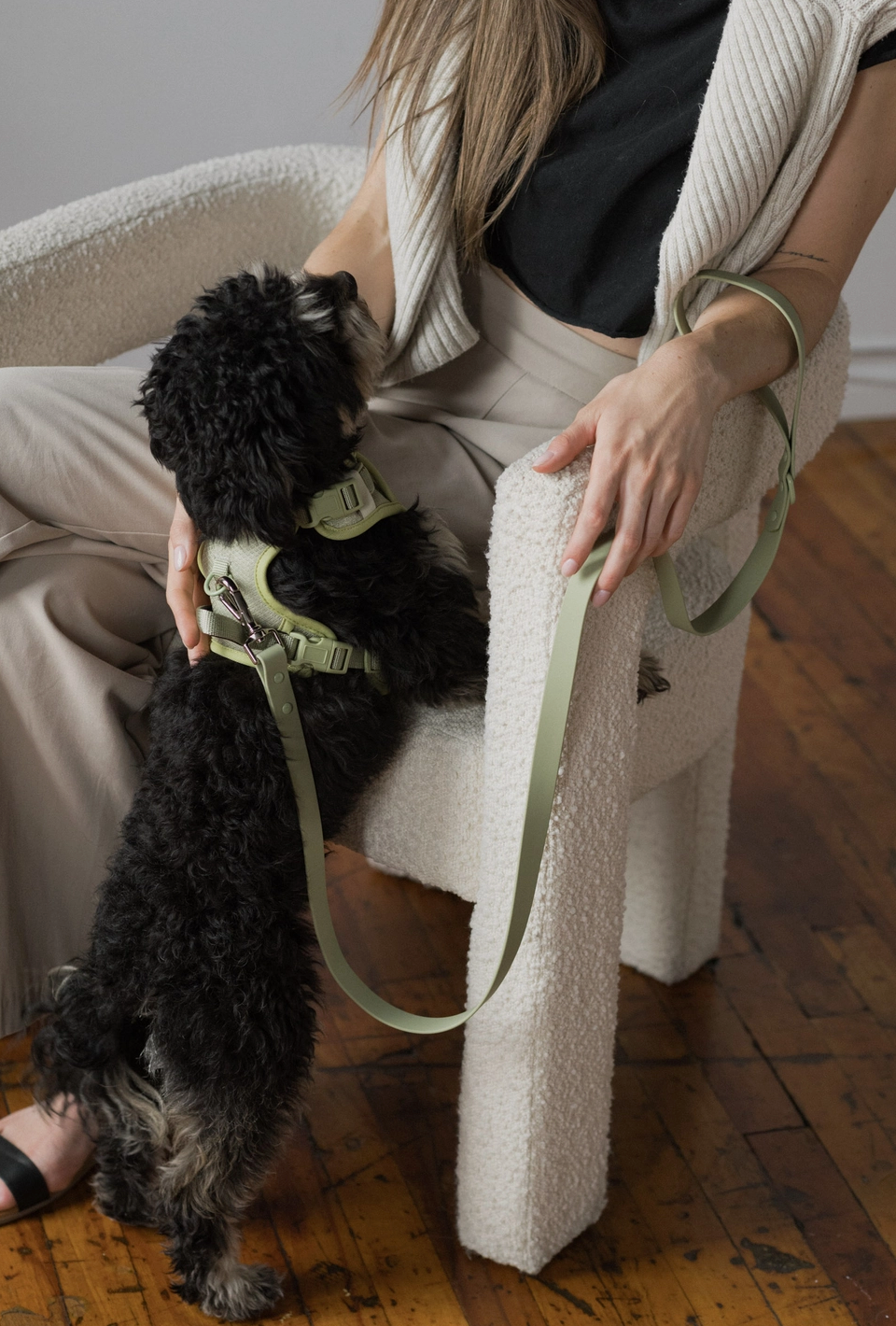 Matcha Harness| Peachy Dogs - Babelle
