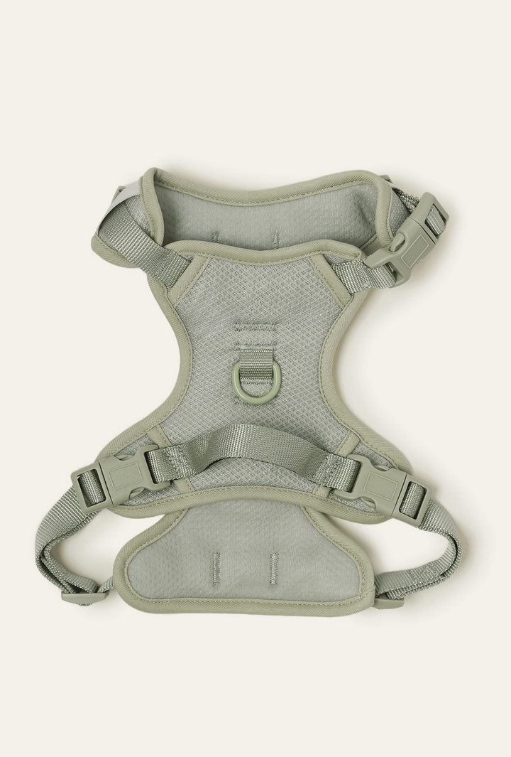 Matcha Harness| Peachy Dogs - Babelle
