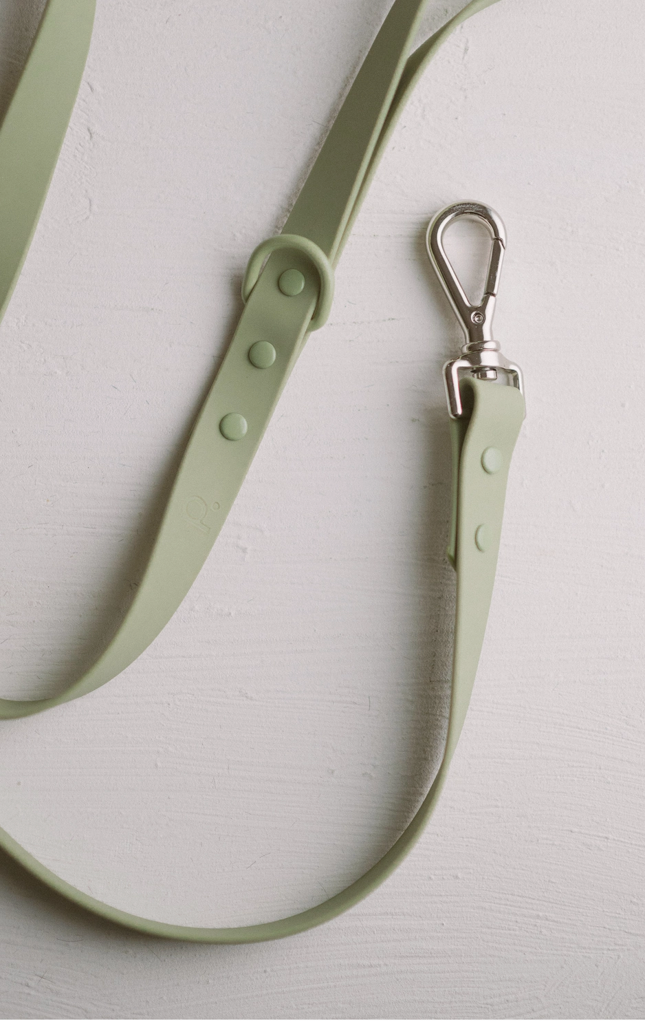 Green Leash | Peachy Dogs - Babelle