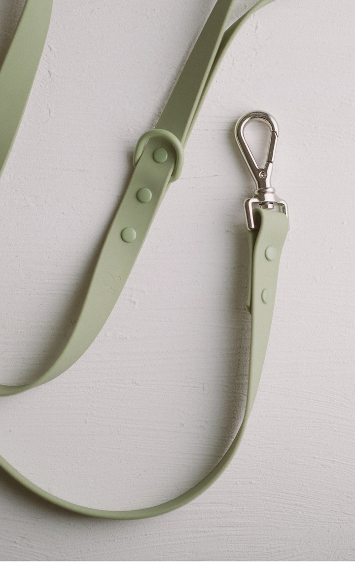 Green Leash | Peachy Dogs - Babelle