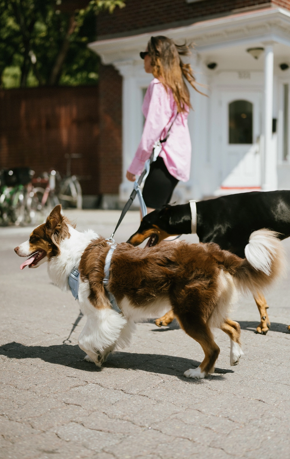 Cloud Hands-Free Leash | Peachy Dogs - Babelle
