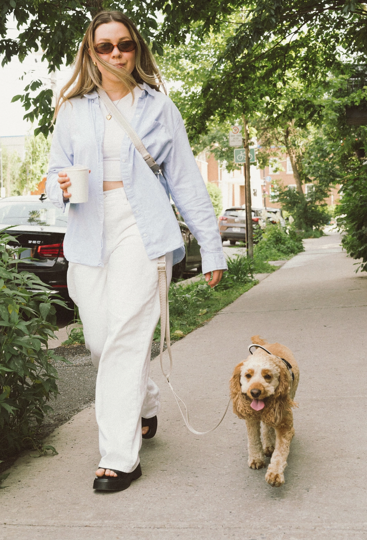 Affogato Hands-Free Leash | Peachy Dogs - Babelle