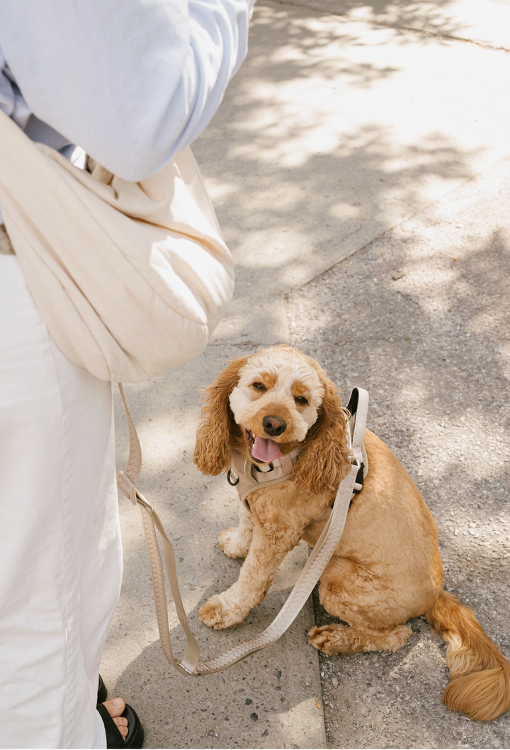 Affogato Hands-Free Leash | Peachy Dogs - Babelle