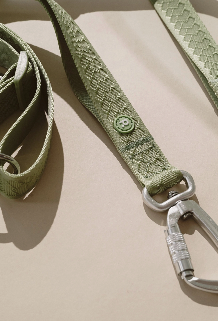 Matcha Hands-Free Leash | Peachy Dogs - Babelle