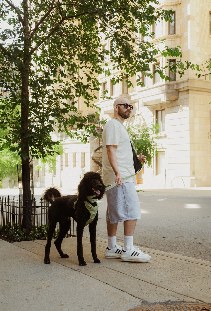 Matcha Hands-Free Leash | Peachy Dogs - Babelle