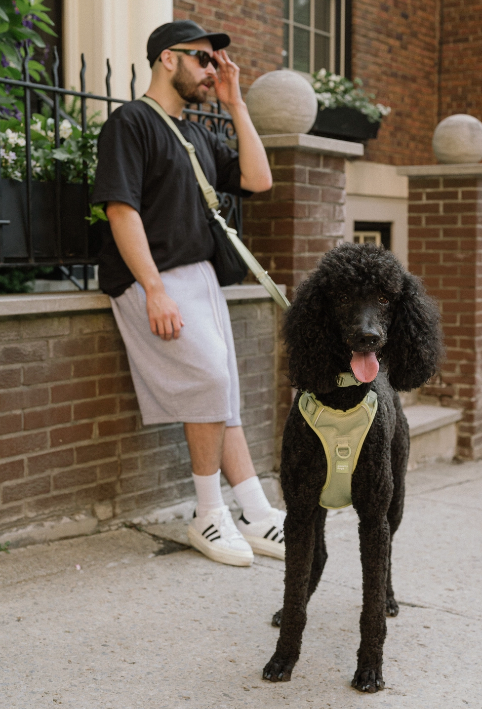 Matcha Hands-Free Leash | Peachy Dogs - Babelle