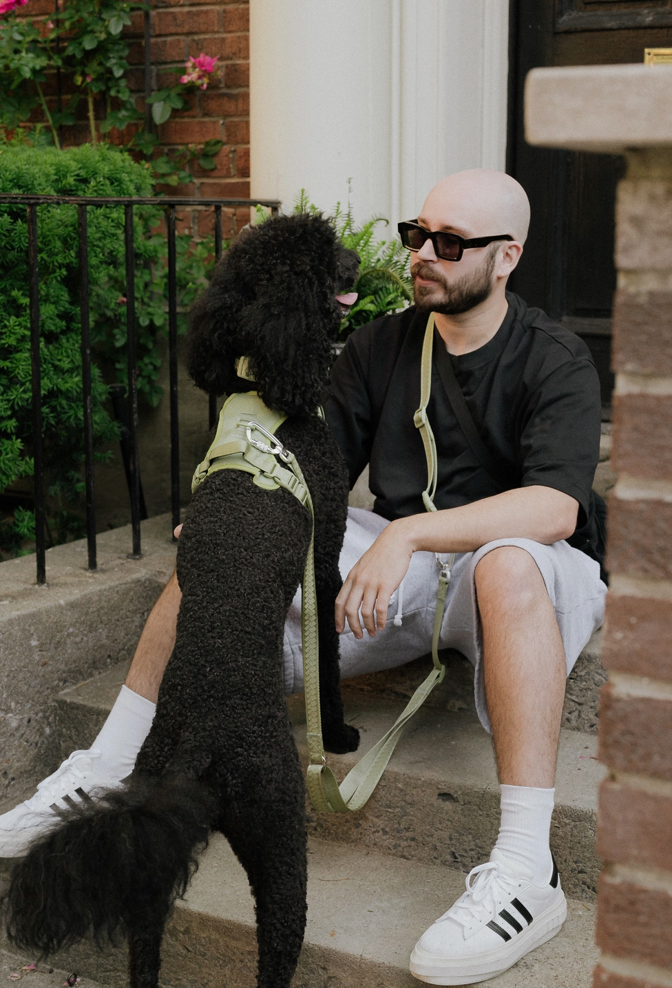 Matcha Hands-Free Leash | Peachy Dogs - Babelle