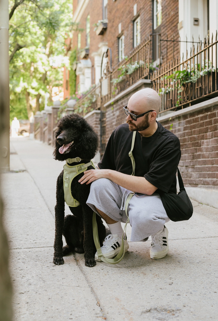 Matcha Hands-Free Leash | Peachy Dogs - Babelle