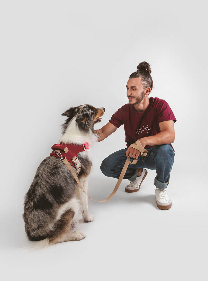 Hug Leash Natural | Qisu - Babelle