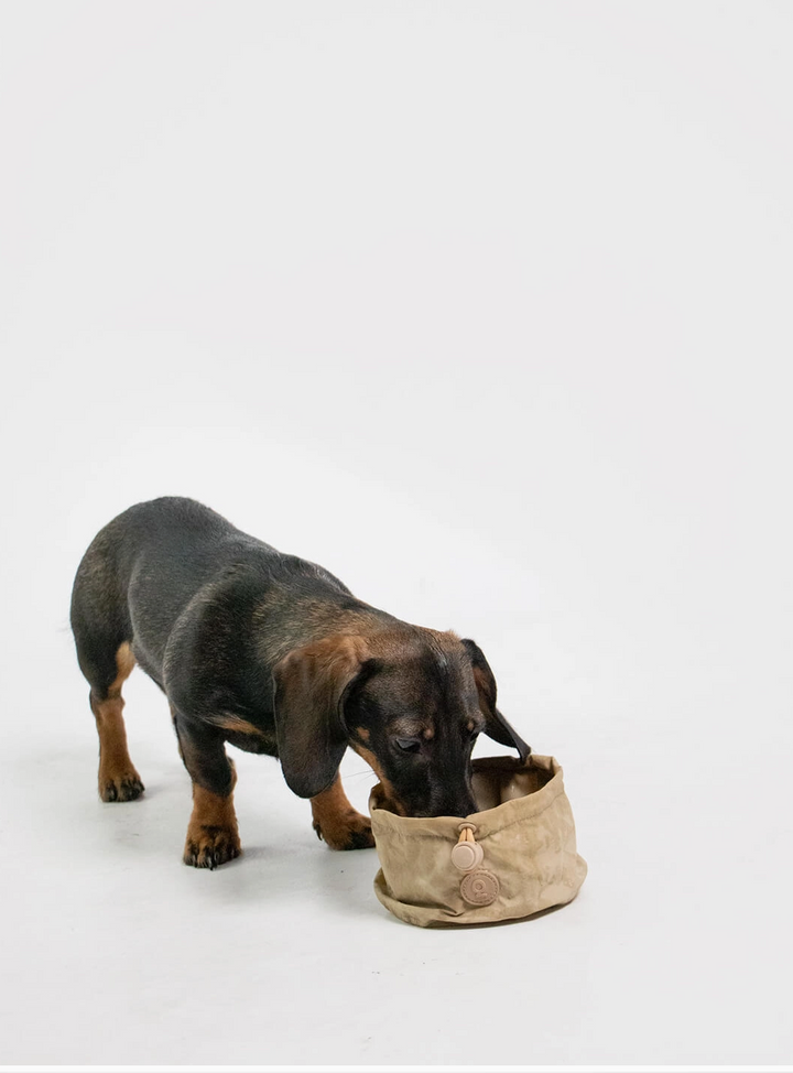 Portable Bowl - Black | Qisu - Babelle