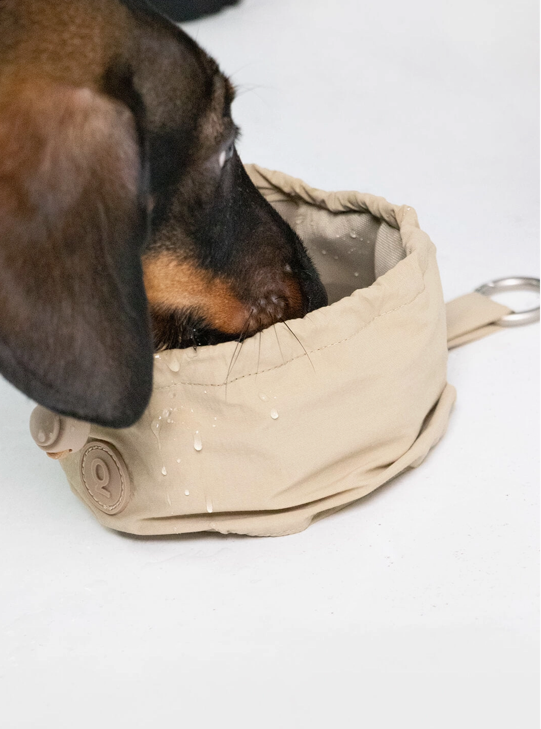 Portable Bowl - Arena| Qisu - Babelle