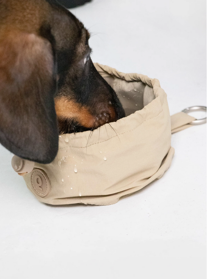 Portable Bowl - Arena| Qisu - Babelle