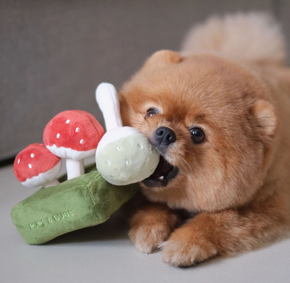 Forest Mushroom Snuffle toy  | Pups & Bubs - Babelle