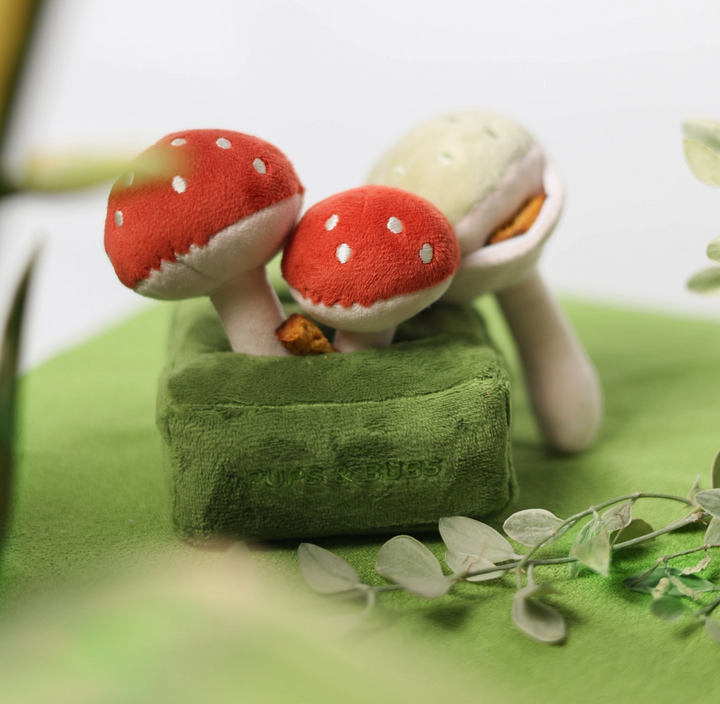Forest Mushroom Snuffle toy  | Pups & Bubs - Babelle