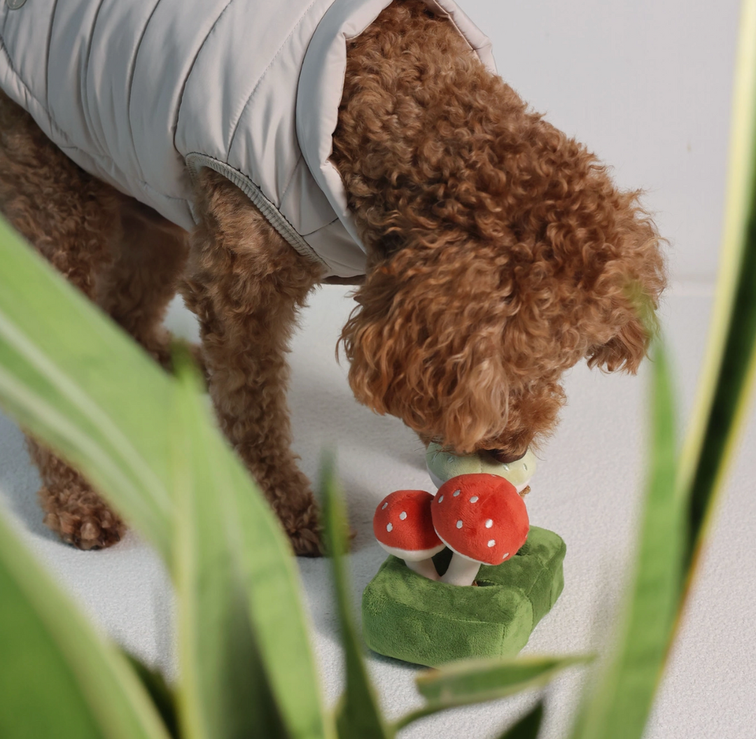 Forest Mushroom Snuffle toy  | Pups & Bubs - Babelle