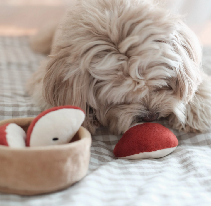 Apple Pie Snuffle toy  | Pups & Bubs - Babelle