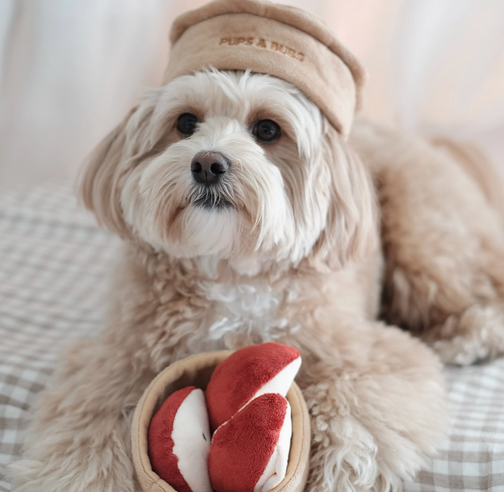 Apple Pie Snuffle toy  | Pups & Bubs - Babelle