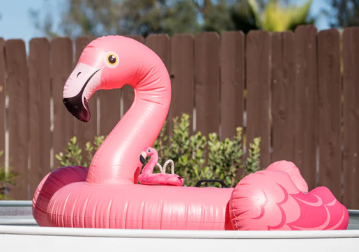 Flamingo Float | P.L.A.Y. - Babelle