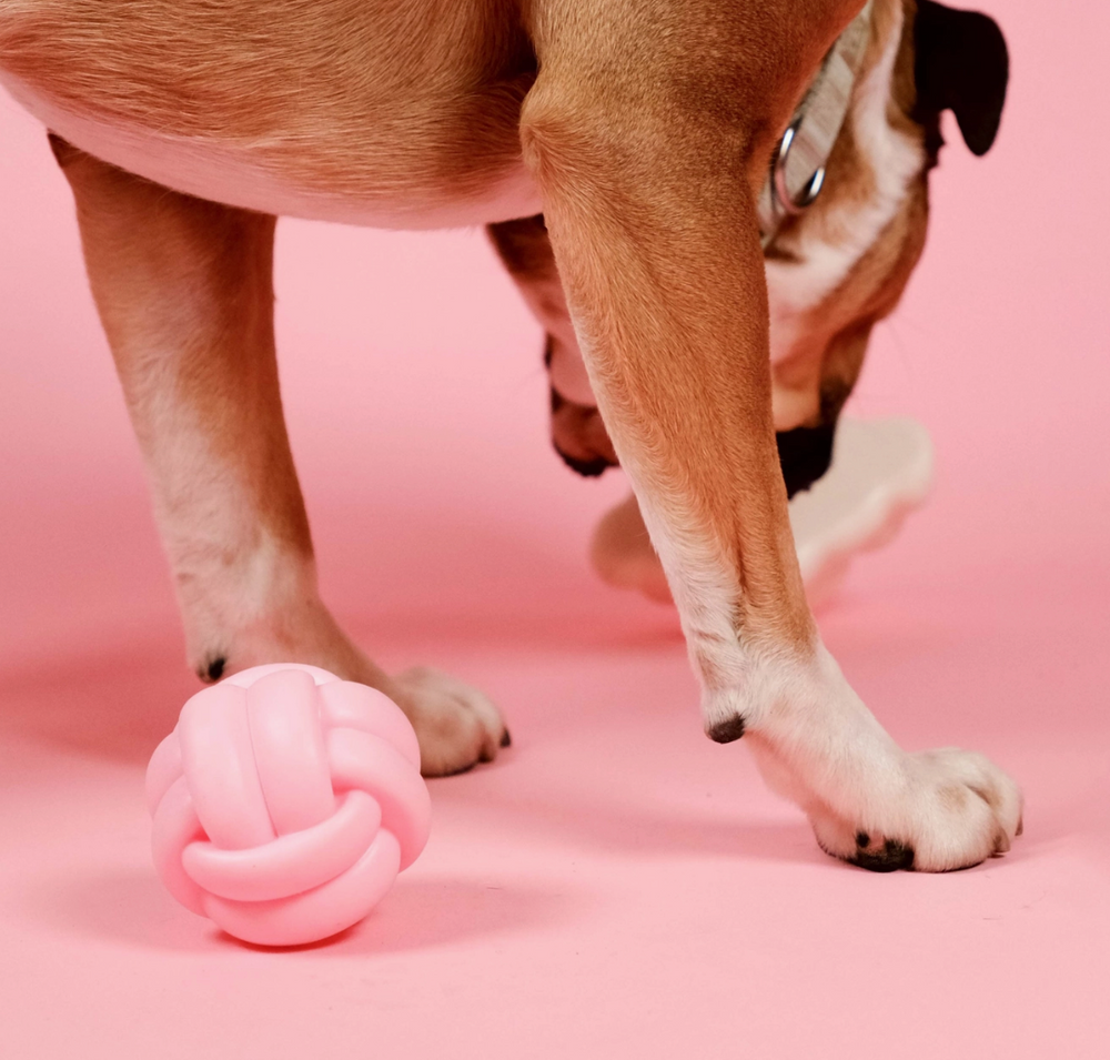 Knotball Squeaky Toy | Barc London - Babelle