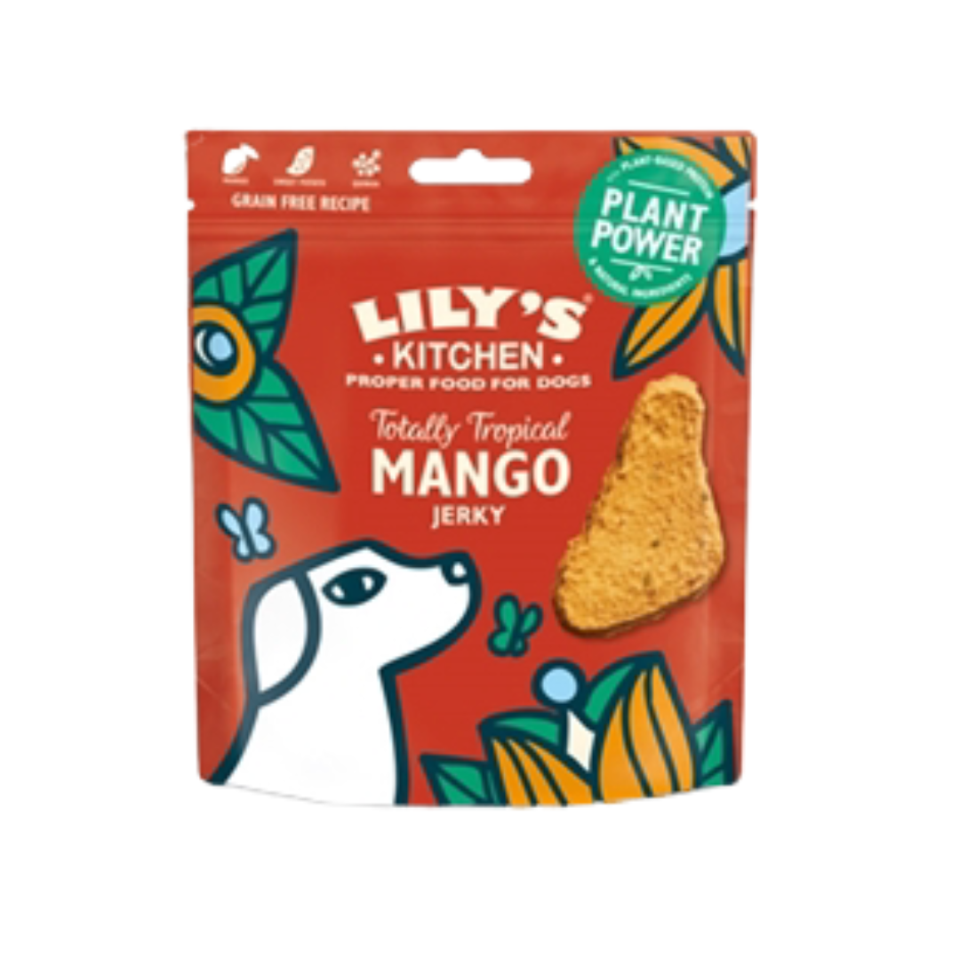 Tropical Mango Jerky | Lily's kitchen - Babelle