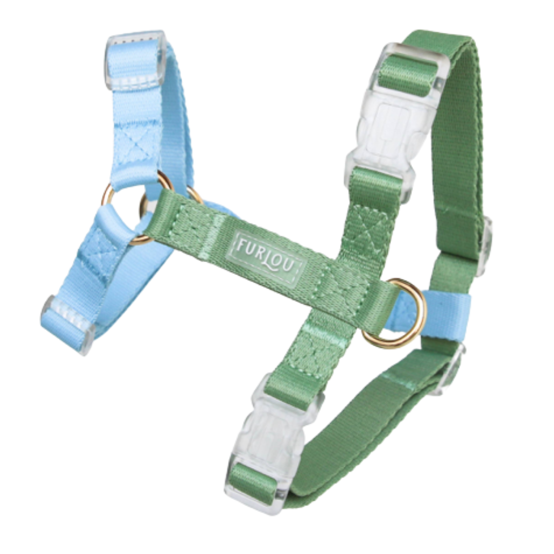 Blue & Green Harnas| Furlou - Babelle