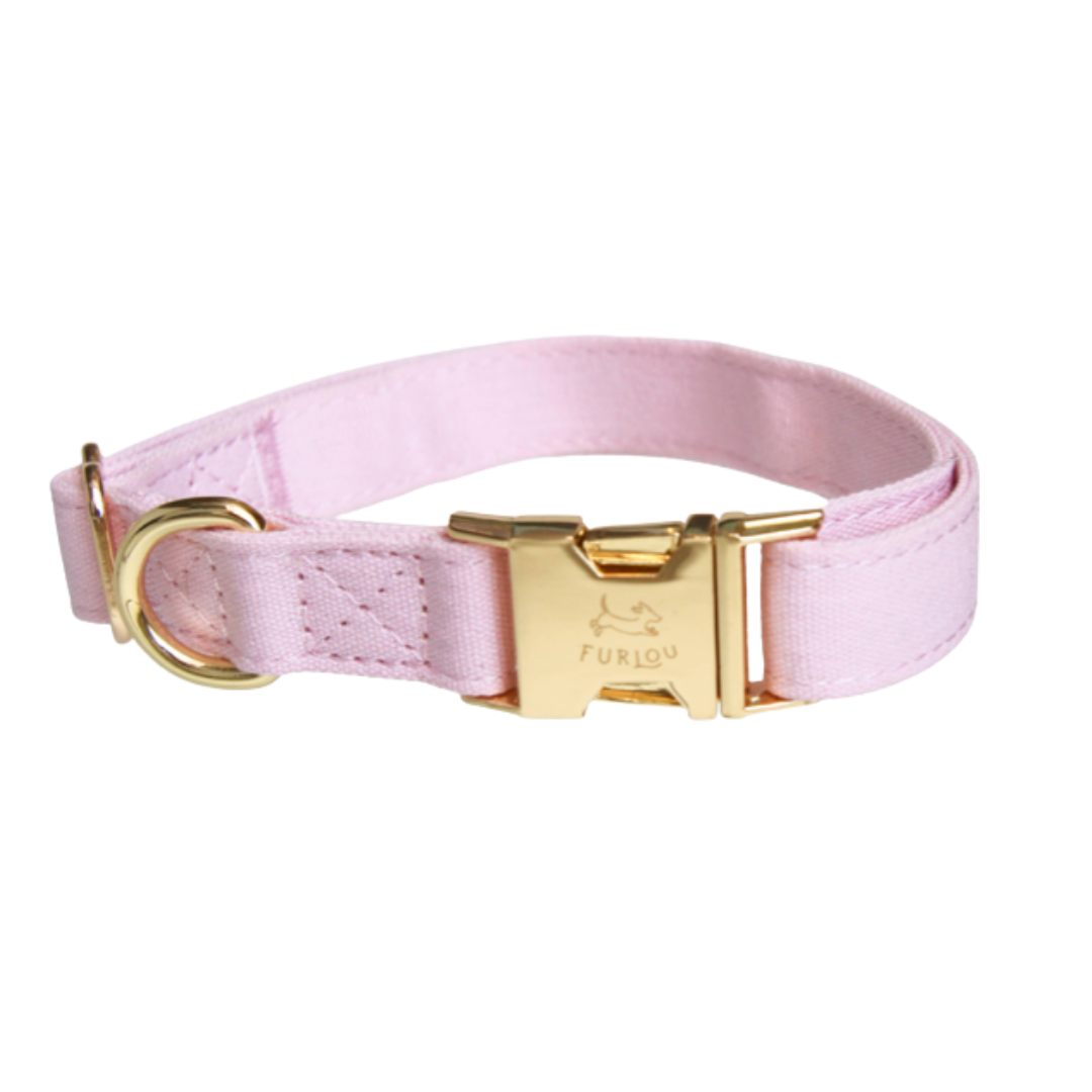 Pink collar | Furlou - Babelle