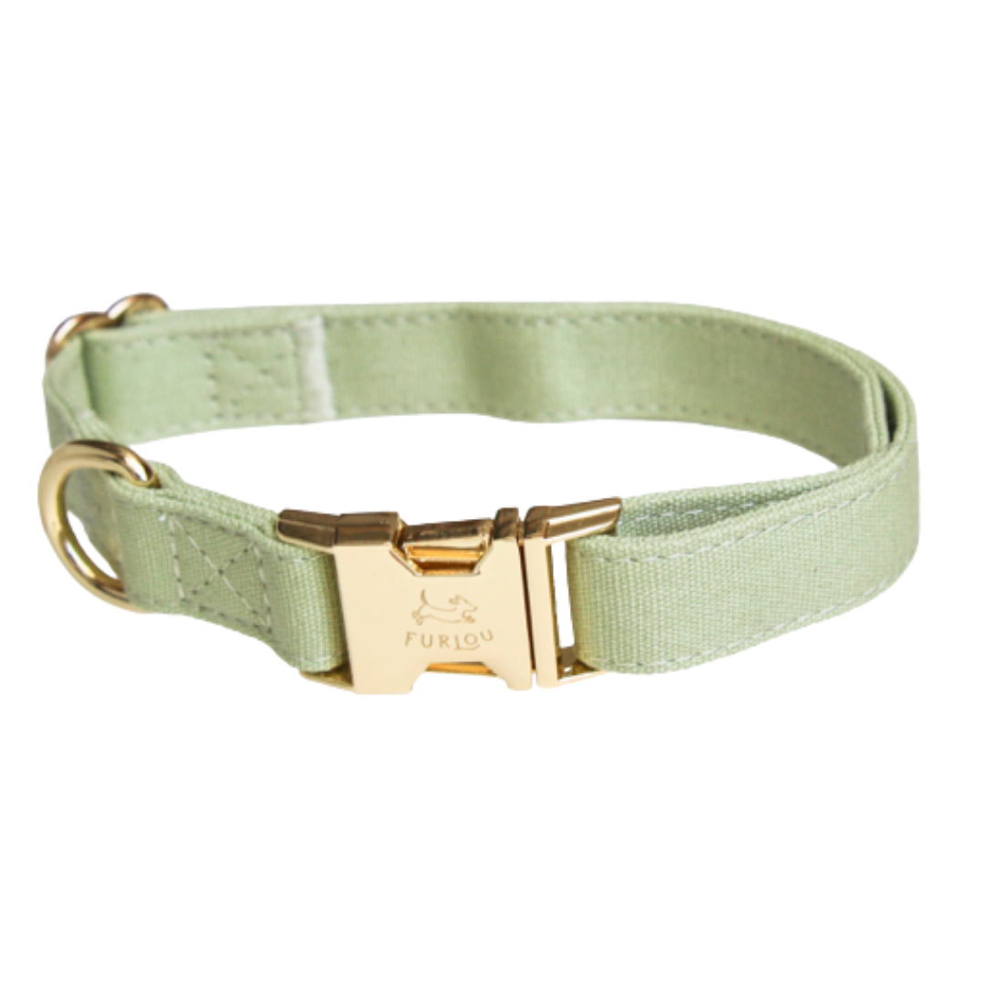 Sage green collar | Furlou - Babelle