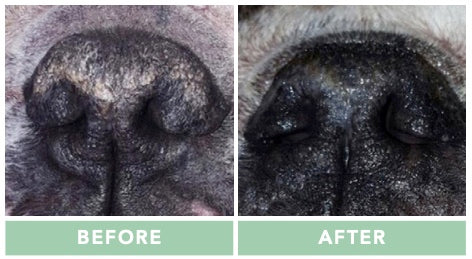 Snout soother | Natural dog company - Babelle