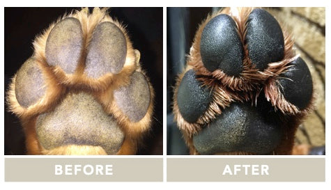 Paw soother | Natural dog company - Babelle