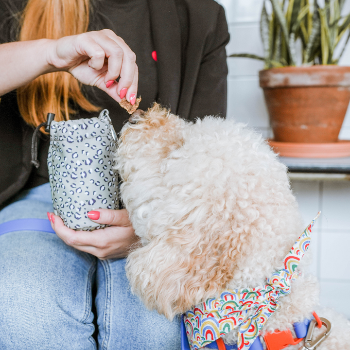 Sage Leopard drawstring pouch | Cocopup - Babelle