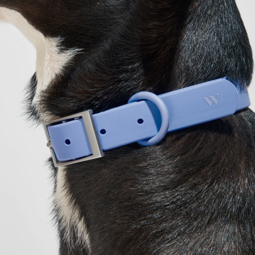 Moonstone Collar | Wild One - Babelle