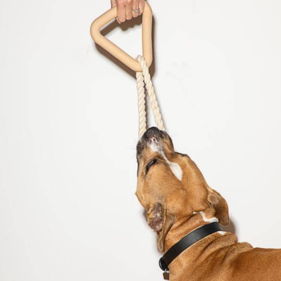 Blush triangle tug toy   | Wild One - Babelle