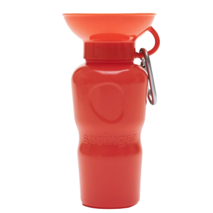 Classic Waterbottle  | Springer - Babelle