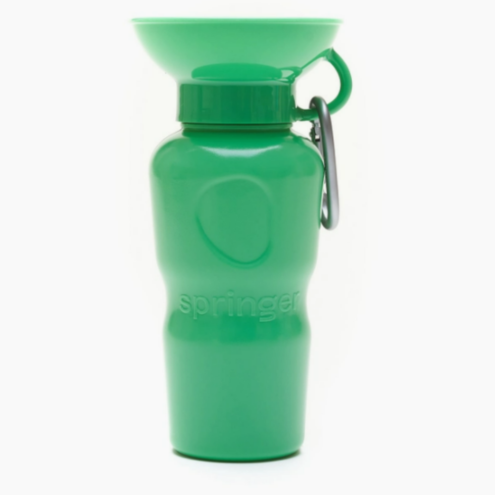 Classic Waterbottle  | Springer - Babelle