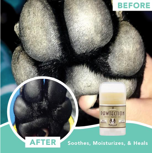 Pawtection | Natural dog company - Babelle