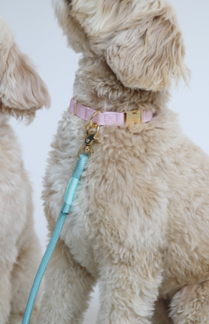 Pink collar | Furlou - Babelle