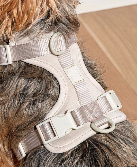 Gray Harness | Wild One - Babelle