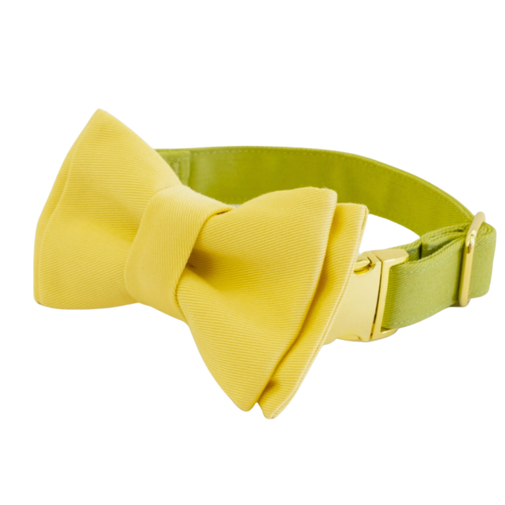 Pickle - Butter Bowtie | Eat Play Wag - Babelle