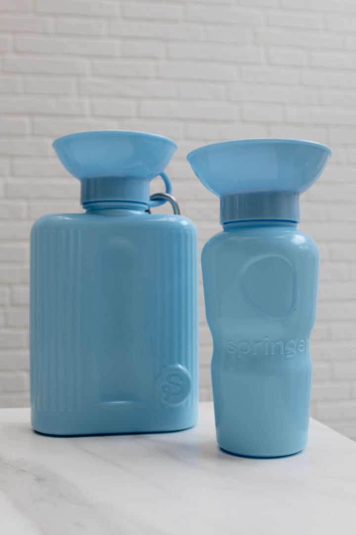 Large Waterbottle  | Springer - Babelle