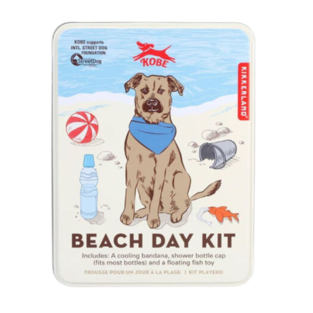 Beach Day kit  | Kikkerland - Babelle