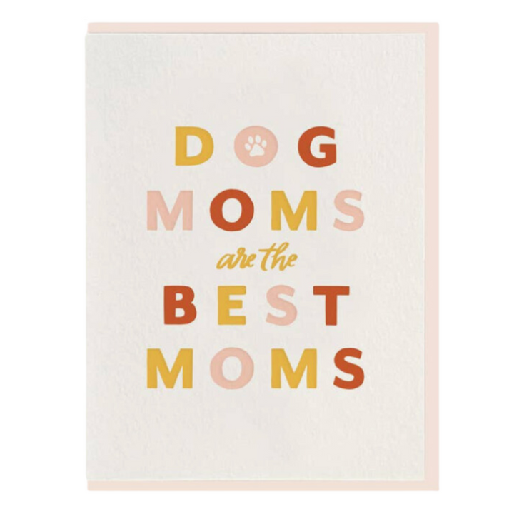 🤎 The Aesthetic Dogmom Box - Babelle