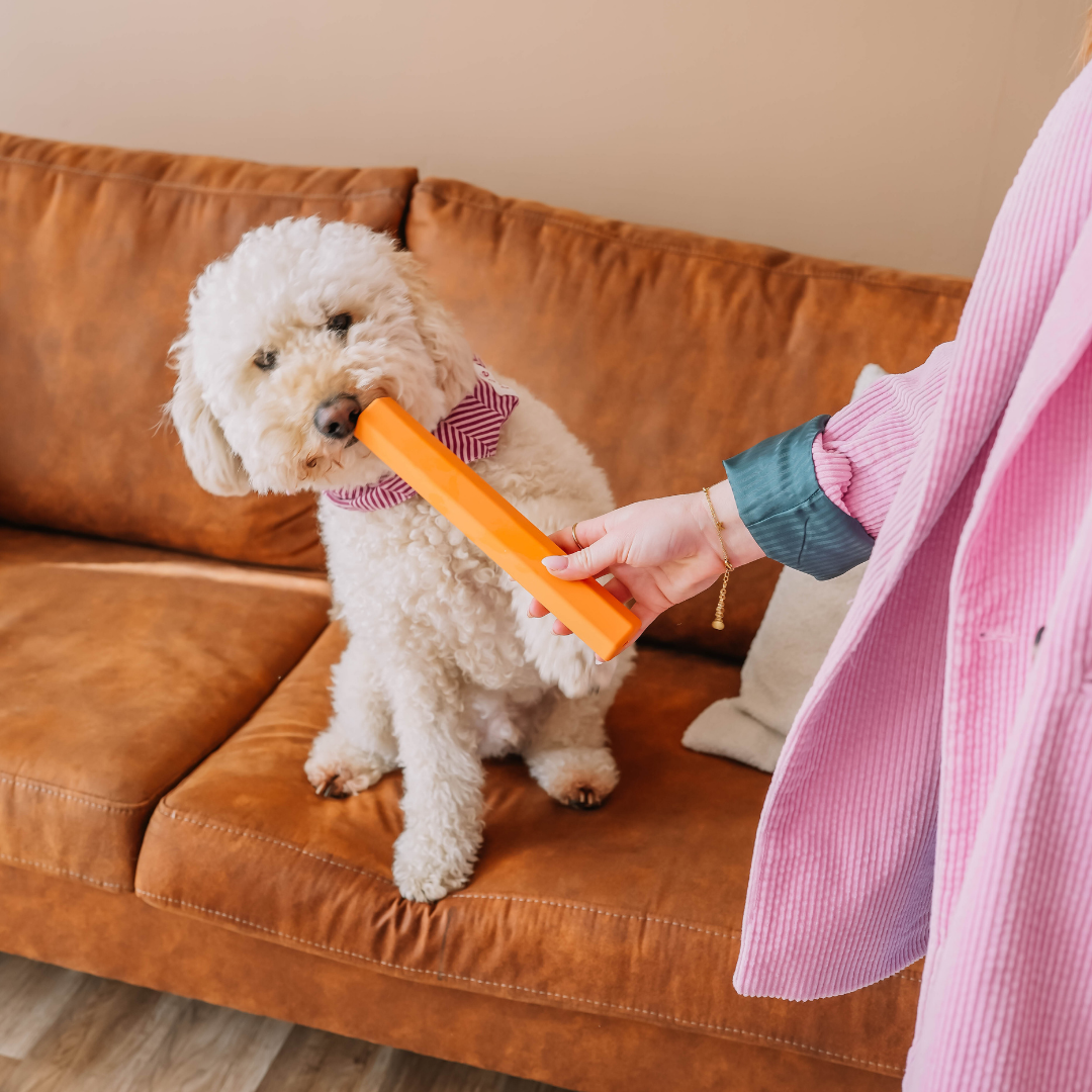 The Treat Tube - Orange | Babelle - Babelle