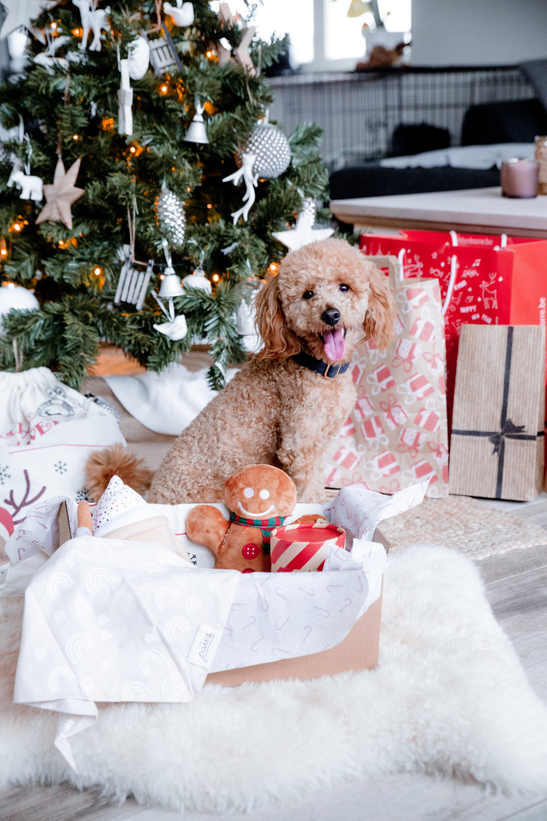 Create your own Christmasbox