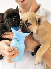 Load image in Gallery view, Small Waterbottle  | Springer - Babelle
