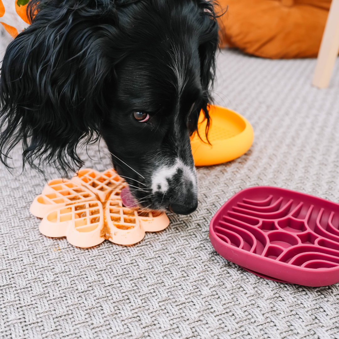 The Mini Maze Lickmat - Burgundy | Babelle - Babelle