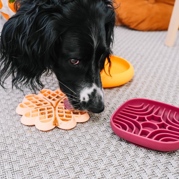 The Mini Maze Lickmat - Burgundy | Babelle - Babelle