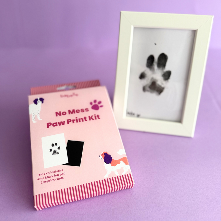 Paw Print Kit  | Babelle - Babelle