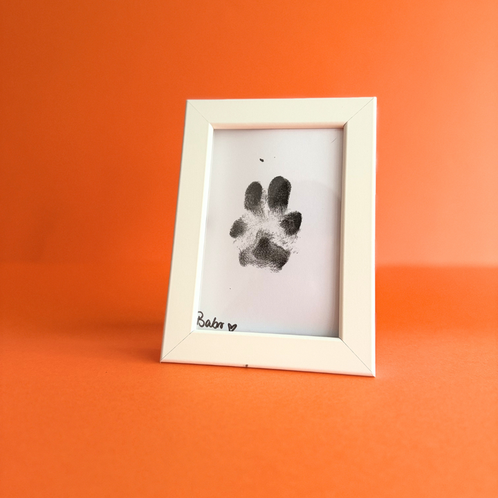Paw Print Kit  | Babelle - Babelle