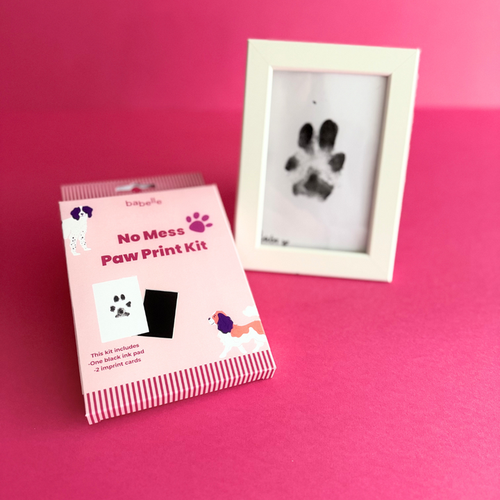 Paw Print Kit  | Babelle - Babelle