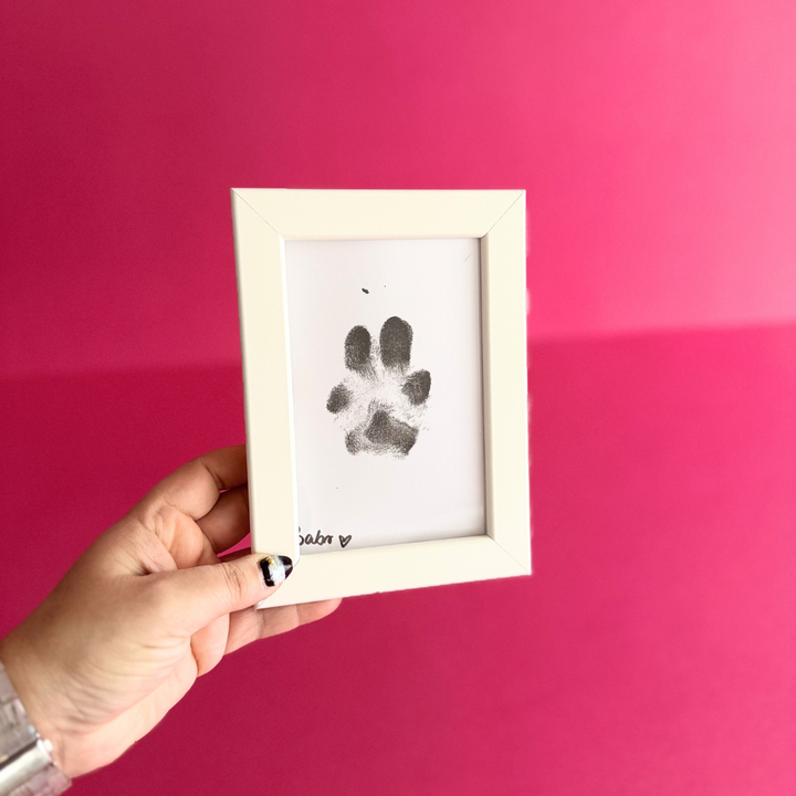 Paw Print Kit  | Babelle - Babelle